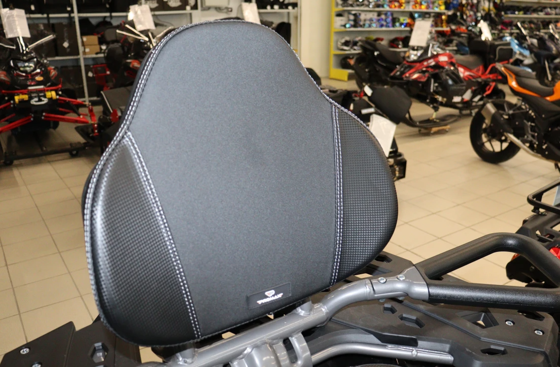 Квадроцикл PROMAX RENEGADE 300 LONG WINCH PRO (2025) в Великом Новгороде