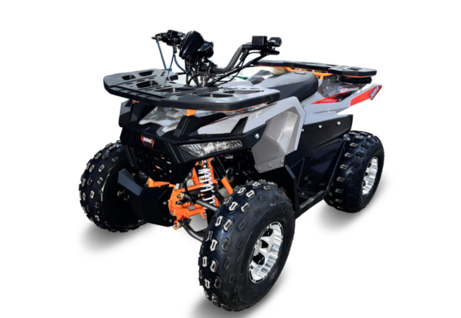 Квадроцикл GBM DAXTER 220 NEW PREMIUM в Великом Новгороде