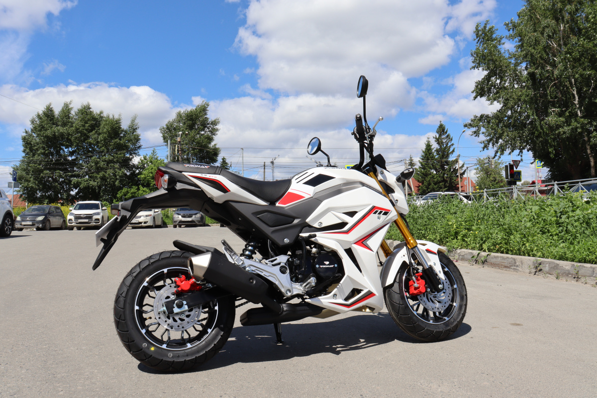 Мотоцикл PROMAX STRYKER 200(49) 2.0 в Великом Новгороде