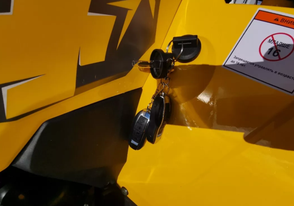 Квадроцикл MOTOLAND (МОТОЛЕНД) VOX200 WILD TRACK X PRO (баланс. вал) в Великом Новгороде