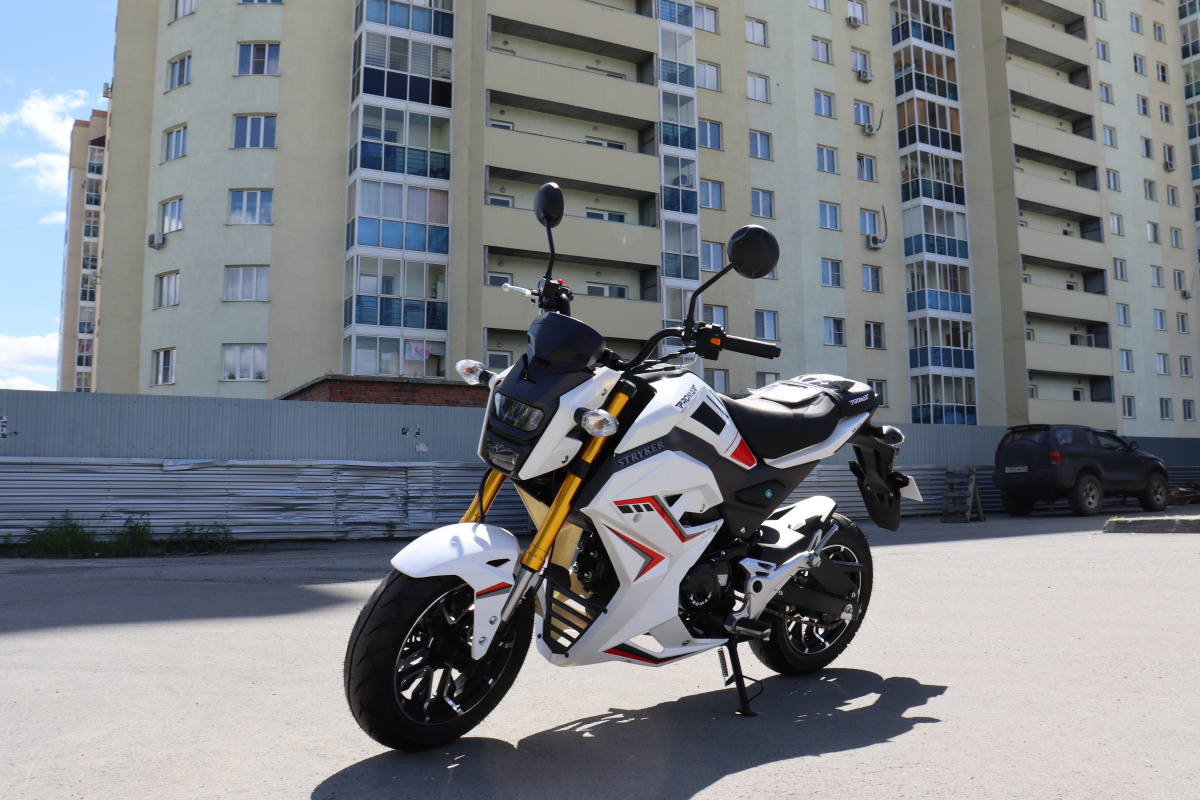 Мотоцикл PROMAX STRYKER 200(49) 2.0 в Великом Новгороде