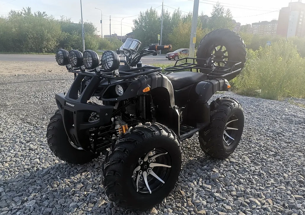 Квадроцикл PROMAX LEO 300 Max (кардан) в Великом Новгороде