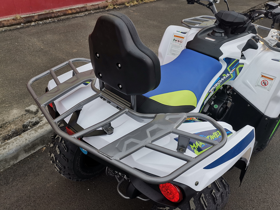 Квадроцикл PROMAX RENEGADE 280 LUX (2025) в Великом Новгороде