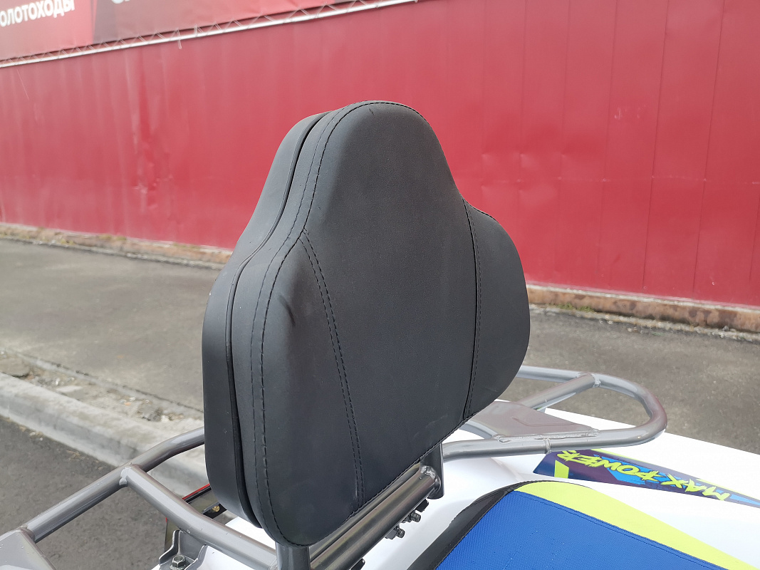 Квадроцикл PROMAX RENEGADE 280 LUX (2025) в Великом Новгороде