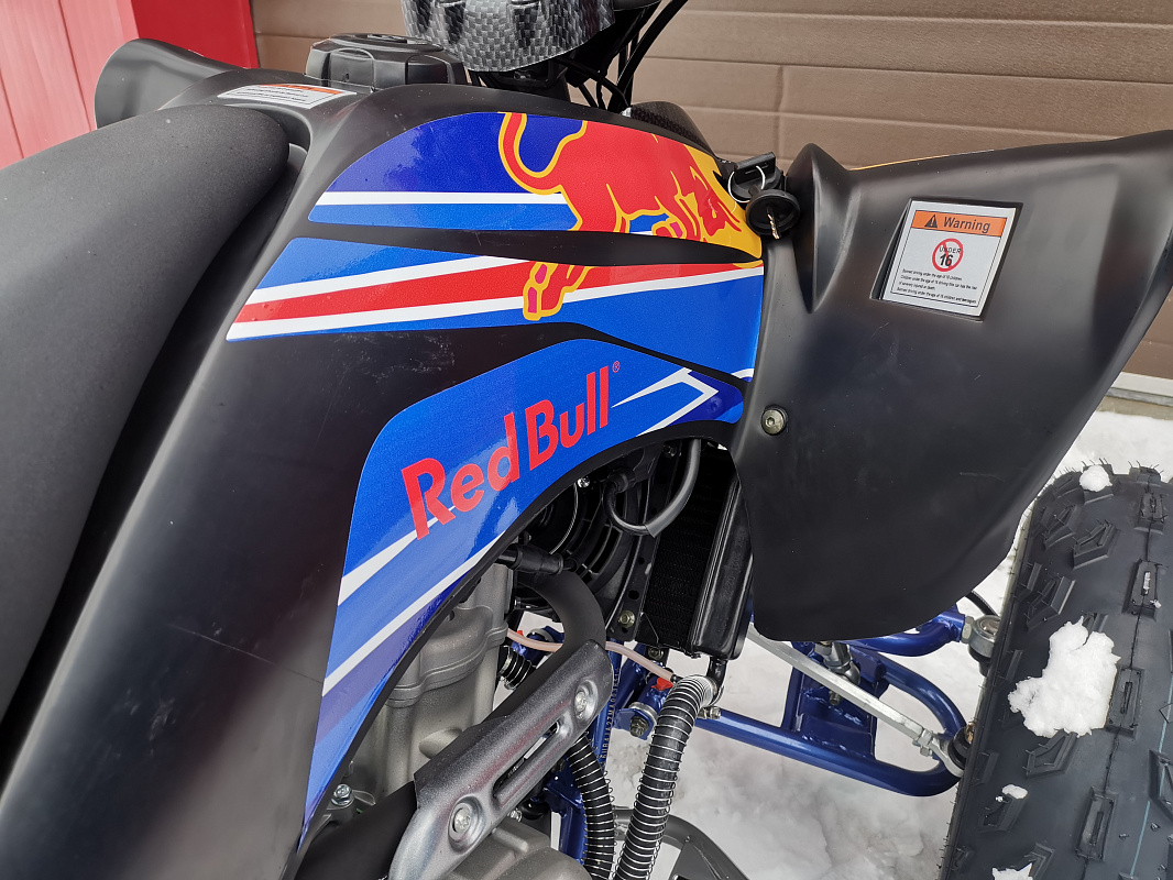 Квадроцикл PROMAX RAPTOR 300 NEW RedBull в Великом Новгороде