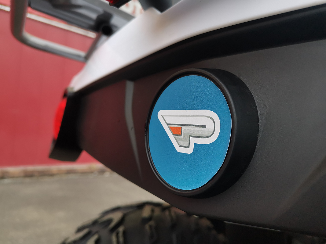 Квадроцикл PROMAX RENEGADE 280 LUX (2025) в Великом Новгороде