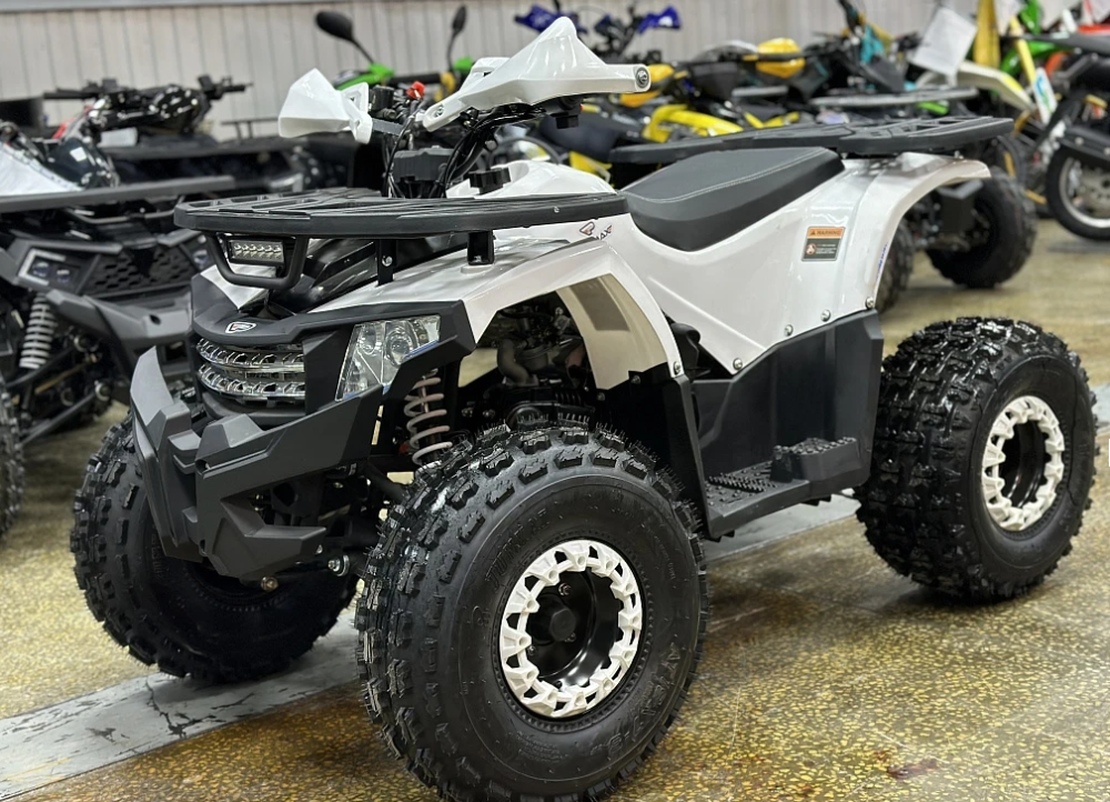 Квадроцикл PROMAX WILD 2.0 190 в Великом Новгороде