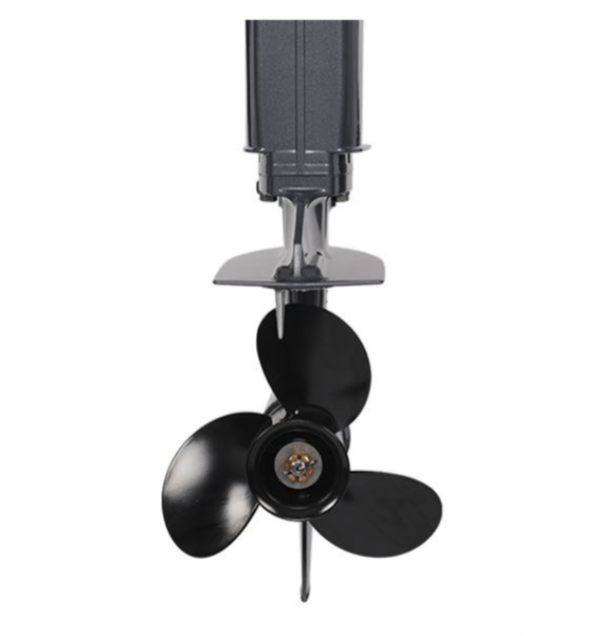 Лодочный мотор ALLFA CG Т40FW S в Великом Новгороде