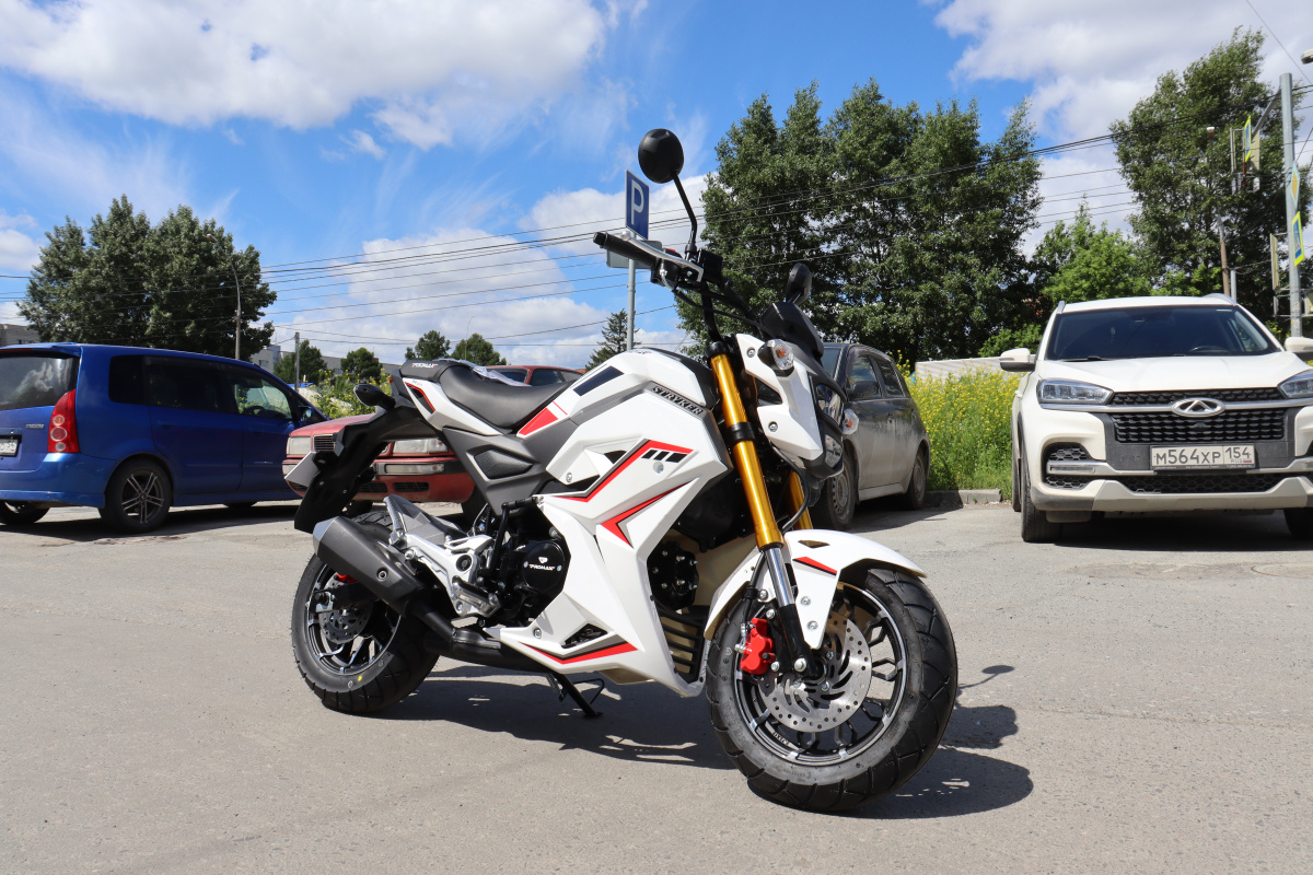 Мотоцикл PROMAX STRYKER 200(49) 2.0 в Великом Новгороде