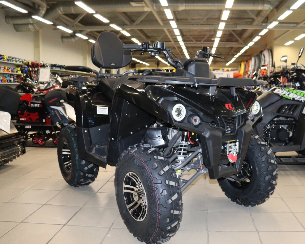 Квадроцикл PROMAX RENEGADE 300 LONG WINCH PRO (2025) в Великом Новгороде