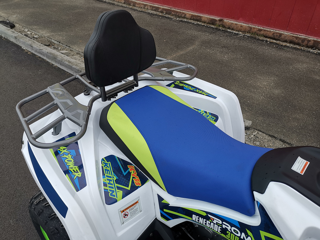 Квадроцикл PROMAX RENEGADE 280 LUX (2025) в Великом Новгороде