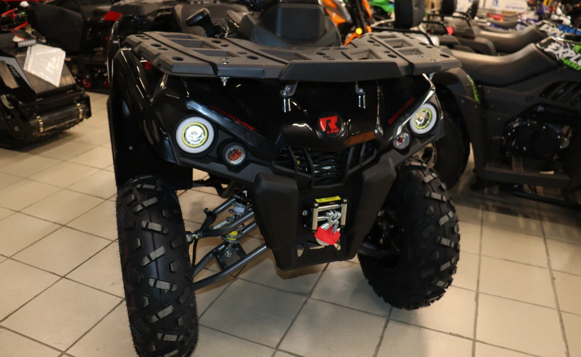 Квадроцикл PROMAX RENEGADE 300 LONG WINCH PRO (2025) в Великом Новгороде