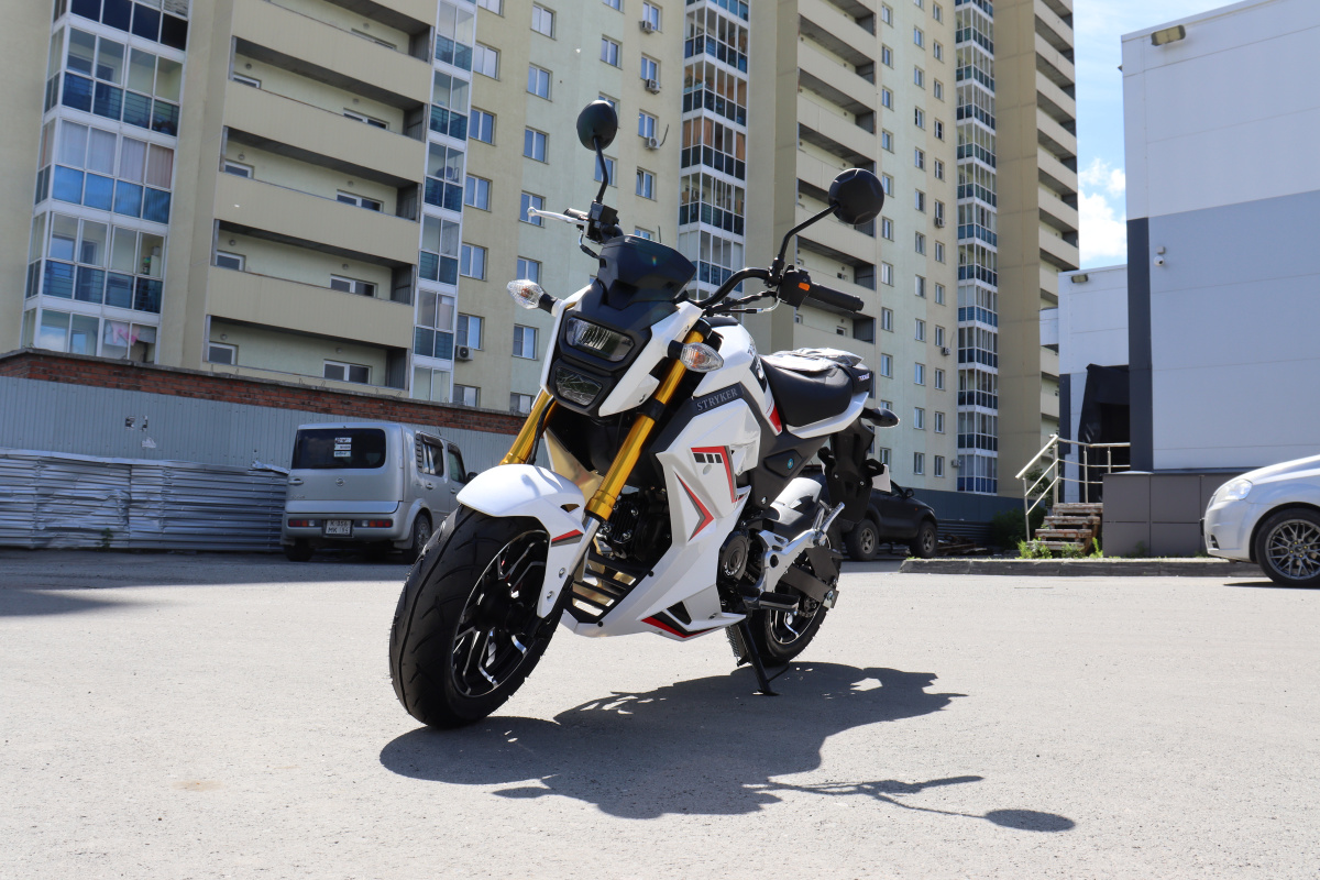 Мотоцикл PROMAX STRYKER 200(49) 2.0 в Великом Новгороде