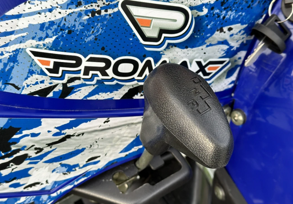  Квадроцикл PROMAX ATV 250 MAX (2025) в Великом Новгороде