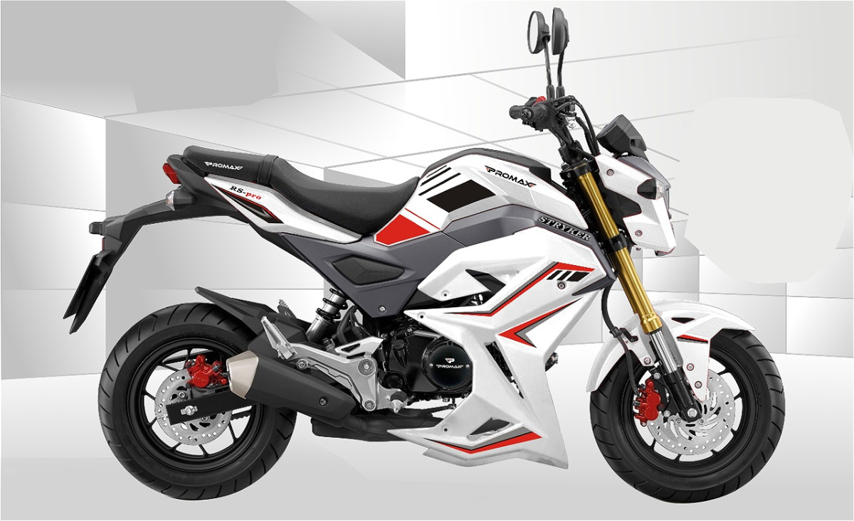 Мотоцикл PROMAX STRYKER 200(49) 2.0 в Великом Новгороде