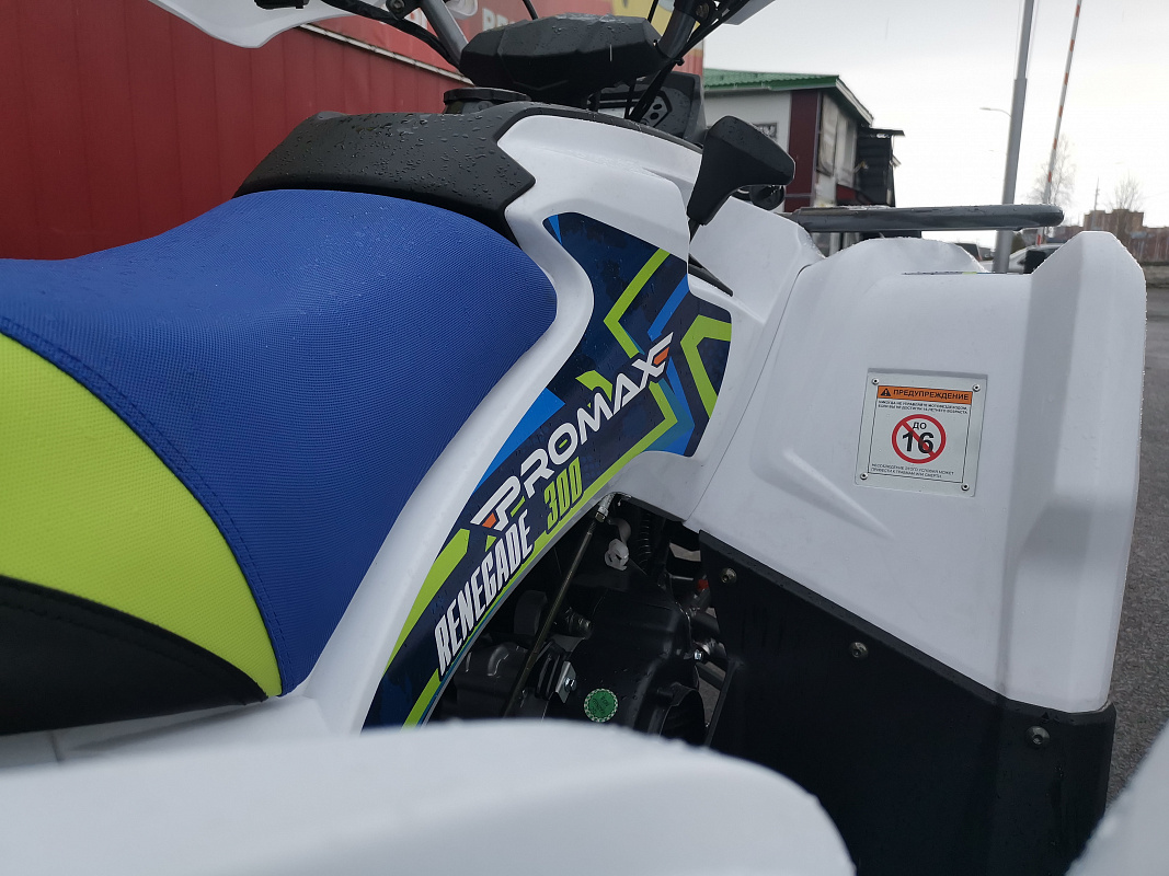 Квадроцикл PROMAX RENEGADE 280 LUX (2025) в Великом Новгороде