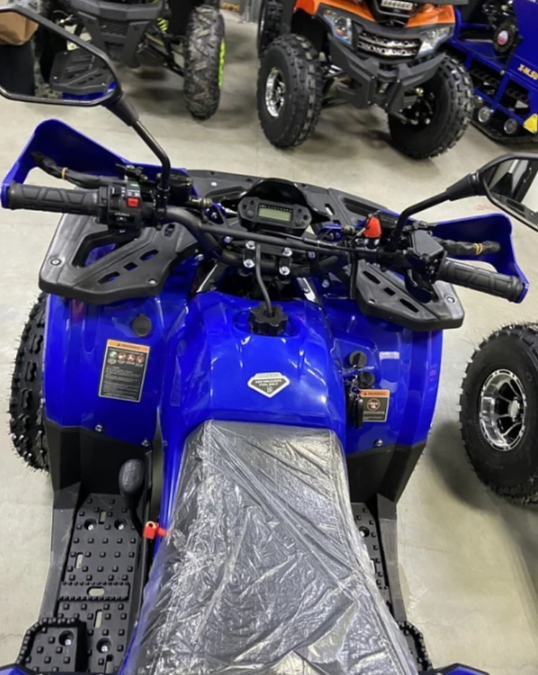 Квадроцикл PROMAX WILD 2.0 190 PRO (2025) в Великом Новгороде