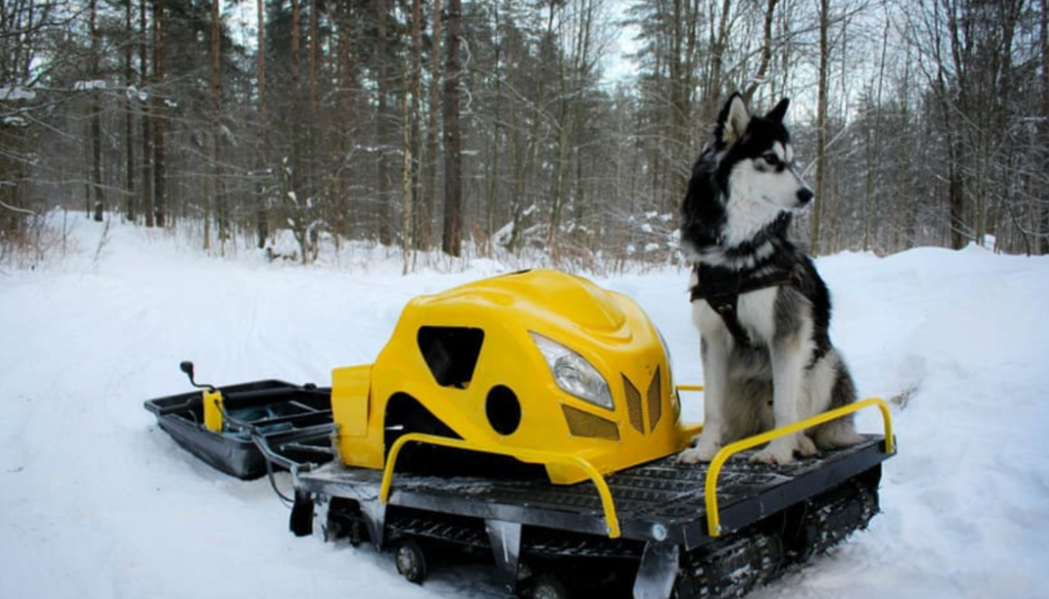 Мотобуксировщик LEBEDEV MOTORS ВОЛКОДАВ POWER V13 в Великом Новгороде