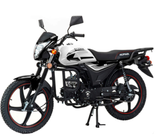 Мопед MOTOLAND (МОТОЛЕНД) Альфа RS 11 (LM48-B) в Великом Новгороде