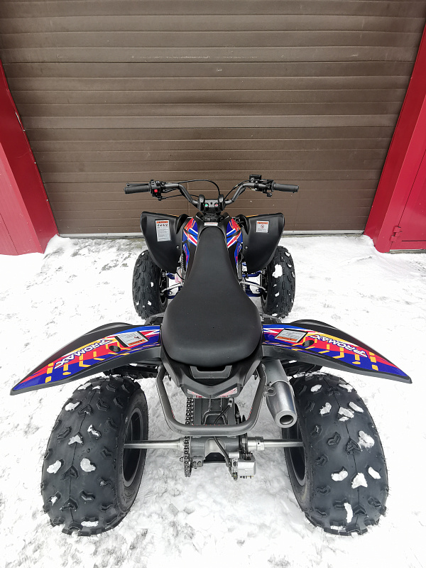 Квадроцикл PROMAX RAPTOR 300 NEW RedBull в Великом Новгороде