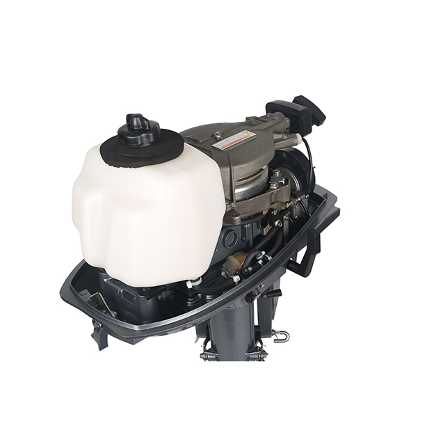 ЛОДОЧНЫЙ МОТОР ALLFA CG T5 в Великом Новгороде