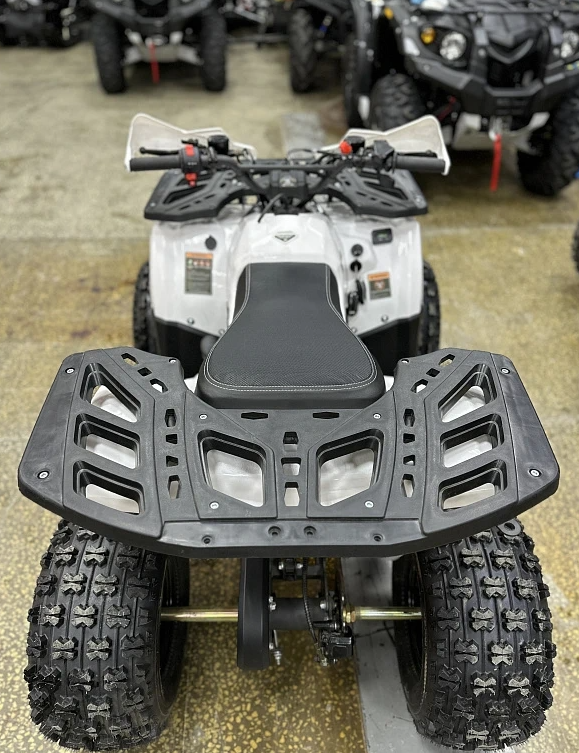 Квадроцикл PROMAX WILD 2.0 190 в Великом Новгороде