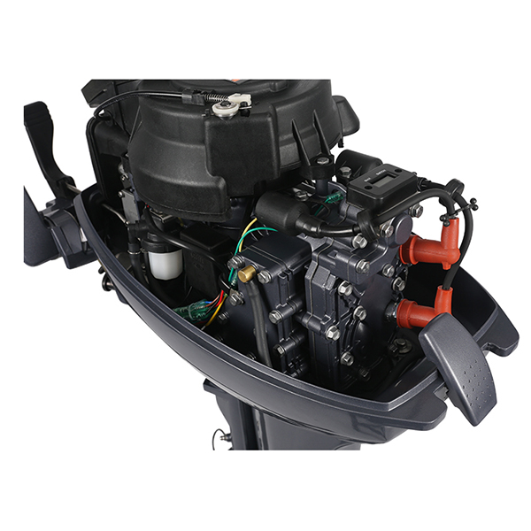 ЛОДОЧНЫЙ МОТОР ALLFA CG Т9,9 в Великом Новгороде