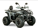 Квадроцикл YACOTA DRAGON LUX LD 150 PRO-SPORT в Великом Новгороде