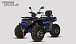 Квадроцикл PROMAX TAURUS 300 MAX-PRO LONG в Великом Новгороде