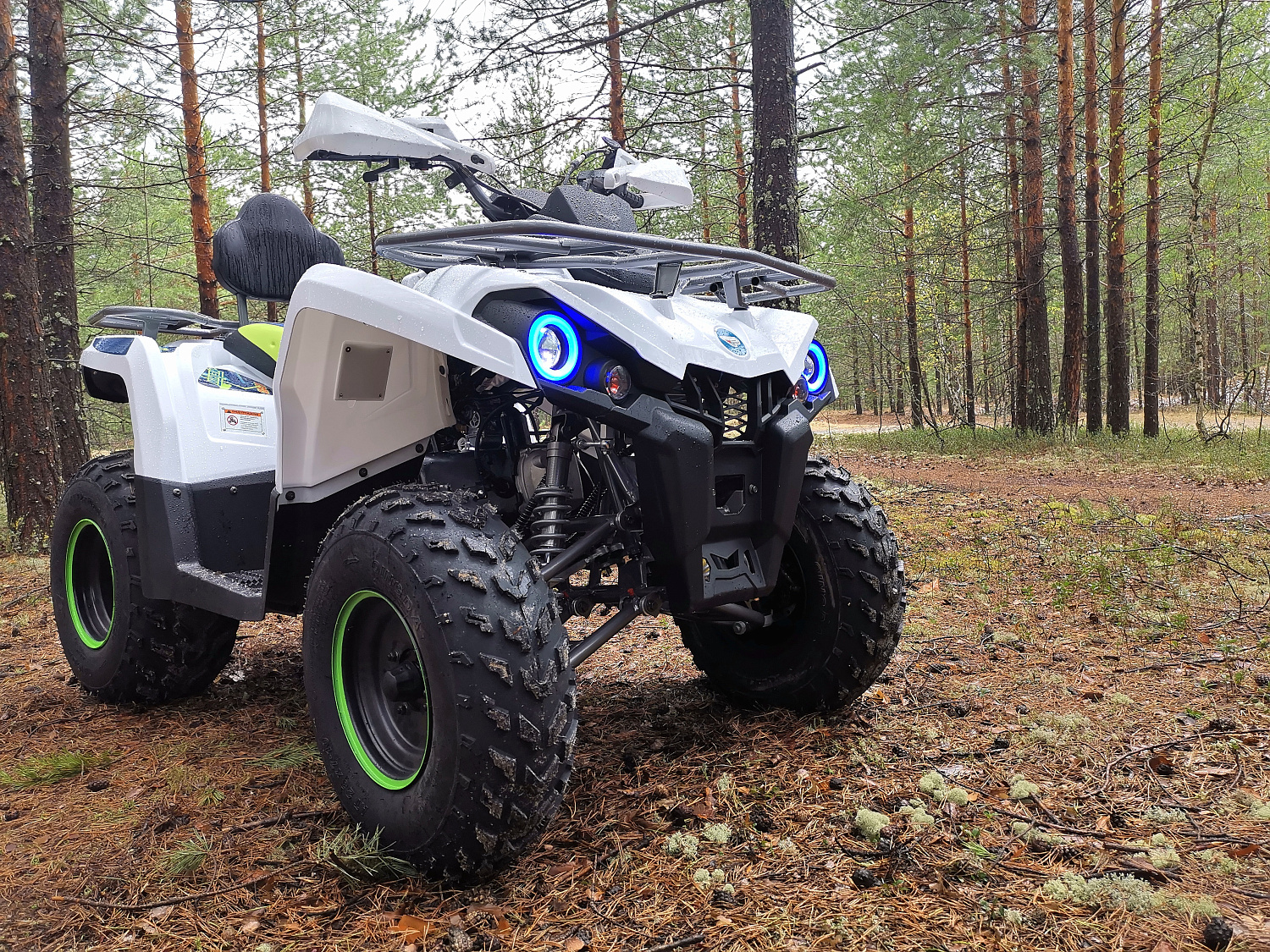 Квадроцикл PROMAX RENEGADE 280 (2025) в Великом Новгороде