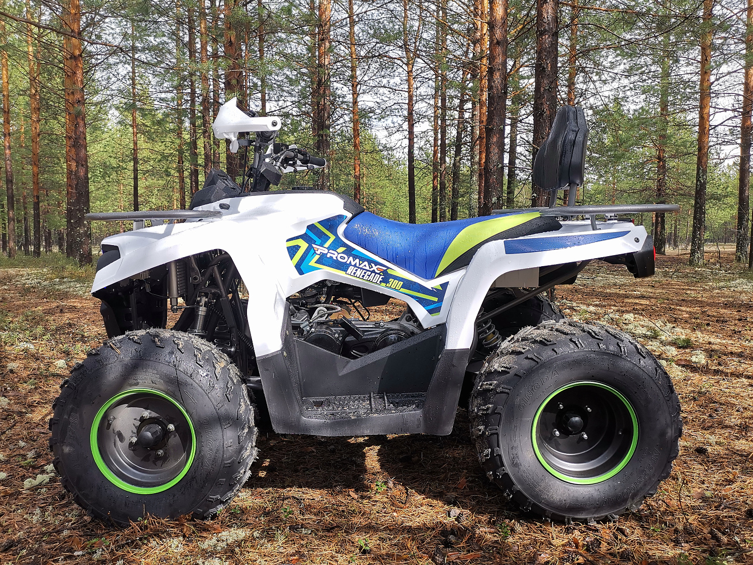 Квадроцикл PROMAX RENEGADE 280 (2025) в Великом Новгороде