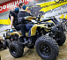 Квадроцикл PROMAX ATV 250 (2025) в Великом Новгороде