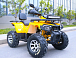 Квадроцикл MOTOLAND (МОТОЛЕНД) VOX200 WILD TRACK X PRO (баланс. вал) в Великом Новгороде