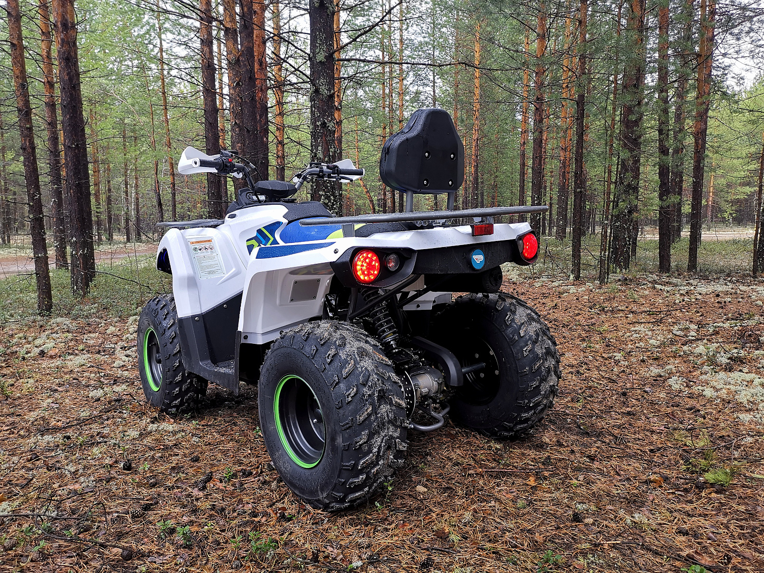 Квадроцикл PROMAX RENEGADE 280 (2025) в Великом Новгороде