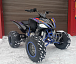 Квадроцикл PROMAX RAPTOR 300 NEW RedBull в Великом Новгороде