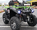 Квадроцикл PROMAX RENEGADE 280 WINCH PRO (2025) в Великом Новгороде