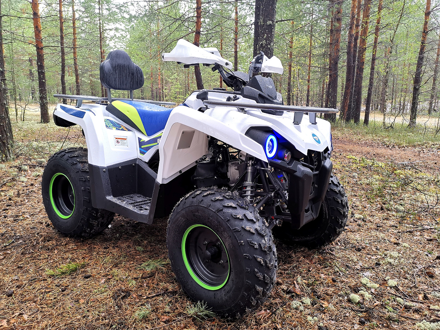 Квадроцикл PROMAX RENEGADE 280 (2025) в Великом Новгороде