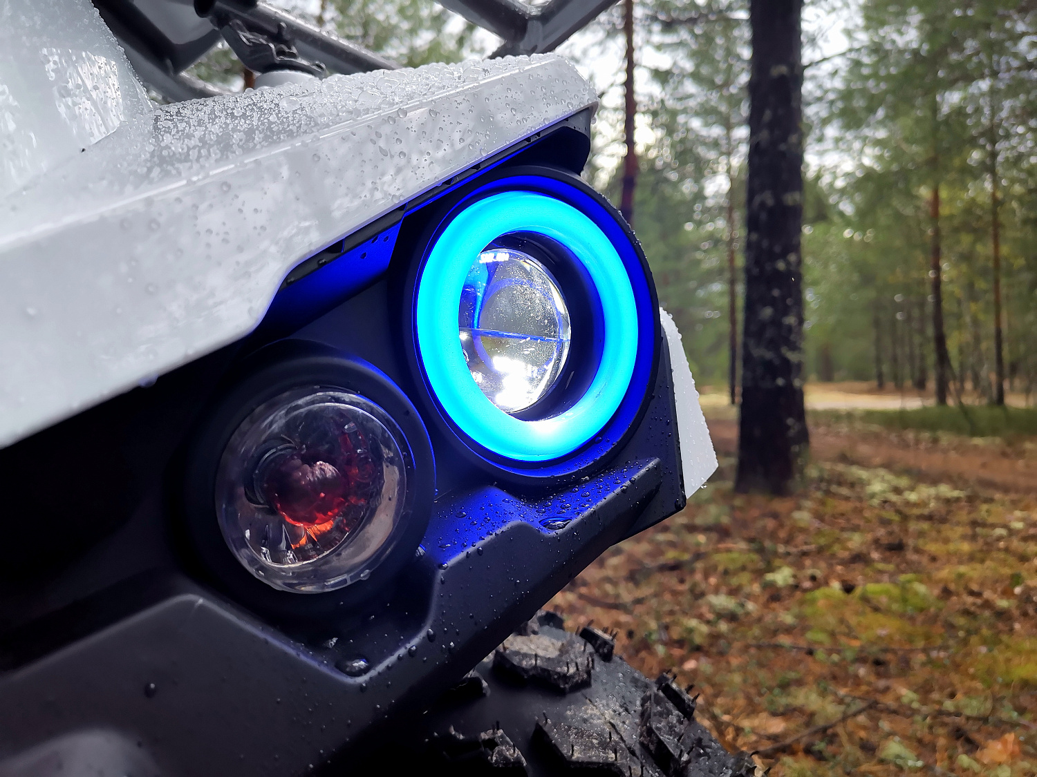 Квадроцикл PROMAX RENEGADE 280 (2025) в Великом Новгороде