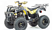 Квадроцикл MOTOLAND (МОТОЛЕНД) 250 ADVENTURE в Великом Новгороде