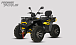 Квадроцикл PROMAX TAURUS 300 MAX-PRO LONG в Великом Новгороде